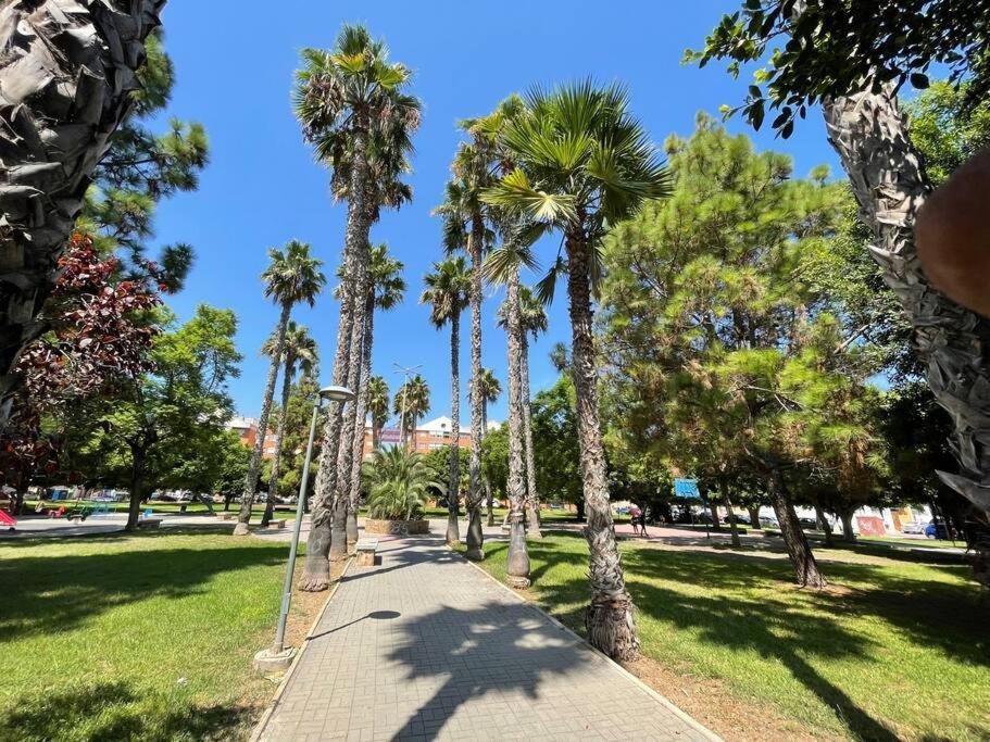 Sol Y Playa Costa Blanca Torrevieja Exterior foto
